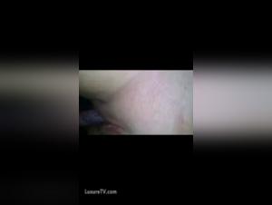 My Wife and Man's Best Friend: A Shocking Encounter