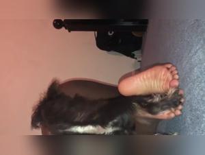 The Fantasies of Neutral-Sexed Orgasm