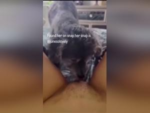 dog sex orgasm