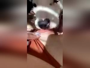 Bestiality Video: Dog 6 - An Extreme Sexual Experience