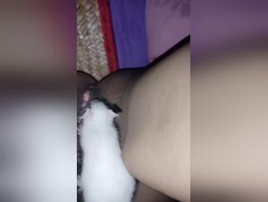 Rat suce et domine chatte éberluée