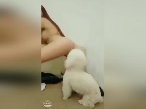 Zoophilia scene with a young Japanese woman and her dog