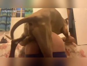 délices seul avec chien adolescente