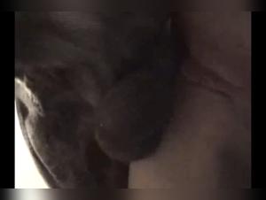 Dog Sex Video: An Extreme Bestial Experience