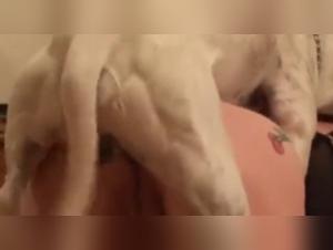 Dog Sex Video: Sweet Cherry