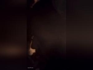 Beastly Pleasures: Exploring Explicit Zoophilia