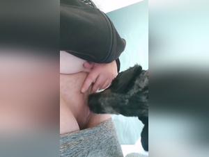 tierisches Vergnügen, wilder Hundebesetz