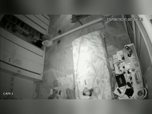 Bestiality sex video: Man and dog in a hard scene