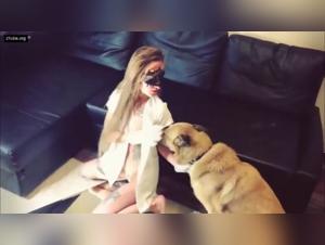 art of zoo beastie girls