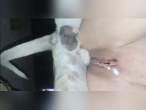 Forbidden Meeting: Woman and Dog