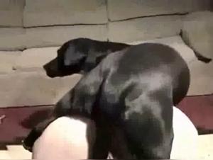 Grandma and Her Four-Legged Best Friend