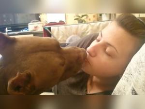 tierliebe extrems: verbotene lust