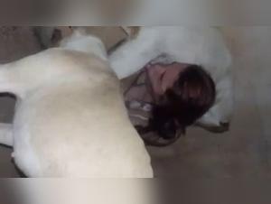 Brazilian woman and her dog: a shocking bestiality video