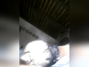 Bestial Experience: Milking