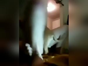 Woman and small dog in a bestiality scene