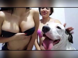 Two girls and a dog in a bestial sex video