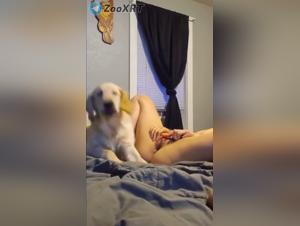 mädchen und hund - tierische lust