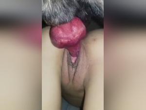 Woman Seduced by Dog Sex