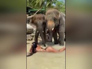 Bestiality Video: Woman and Horse