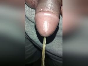 decouvertes obscures : intimite animale