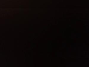 k9 wife with family dog