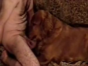 Zoofilia Extrema: Chica Foca con Perro
