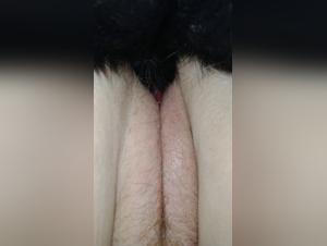 Amateur Dog - Intimate Moments with Dogs