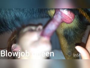 Dog Bang Queen Ouais, Elle Aime ça