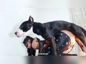 Dog Sex Videos - www.k9lady.com