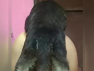 adormes par le chien fougueux