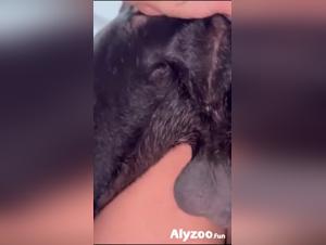 Best Sex Experience with Dog