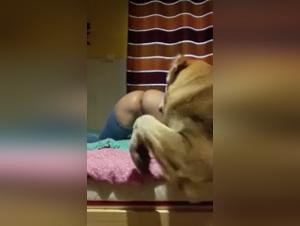 Exploring the Taboo Art of Zoofilia