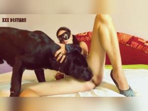 Brunette and dog: a breathtaking bestiality sex video