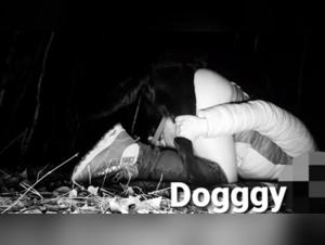 Intimate Moment with a Dog