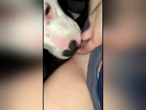 Woman and dog: a beastly encounter