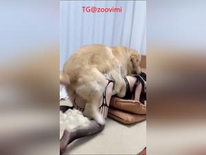 Korean girl enjoys being fucked by her dog