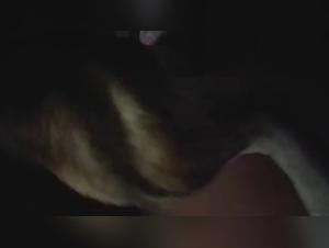 Brazilian woman and dog in a zoophilia video