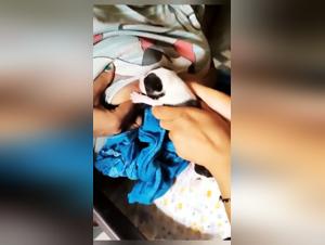 Woman and Dog: A Forbidden Encounter