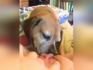 Unique Sexual Experiences: Man and female dog