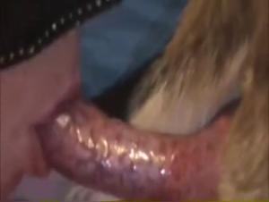 Exciting Encounter: Woman and Dog