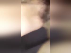 Bestiality sex video: Dog fucking hairy pussy