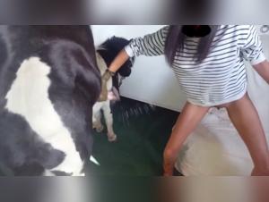 First Zoophilia Experience with an Amateur Woman and a Horse