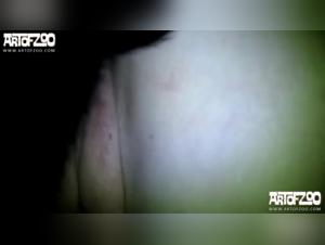 AOZ Vixen and Her Bestiality Adventure