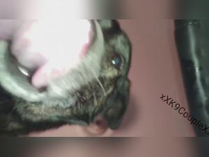 wife hardcore doggystyle action