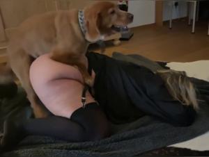 Intense bestiality: a mature woman and her canine companion