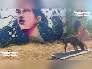 Marcia - Zoohamster Action: Dogged & Furious