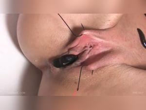 Woman and dog: a beastly and exciting encounter