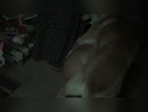 Team Russia Garage Parte 2: Put*a se folla con perro brutalmente