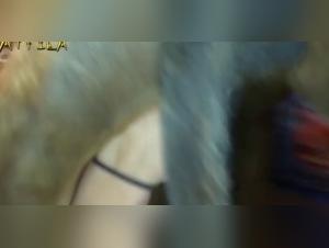 La ragazza bionda e il suo cane selvaggio : una videozopecia incredibile