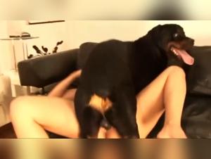 Teen Dog Sex